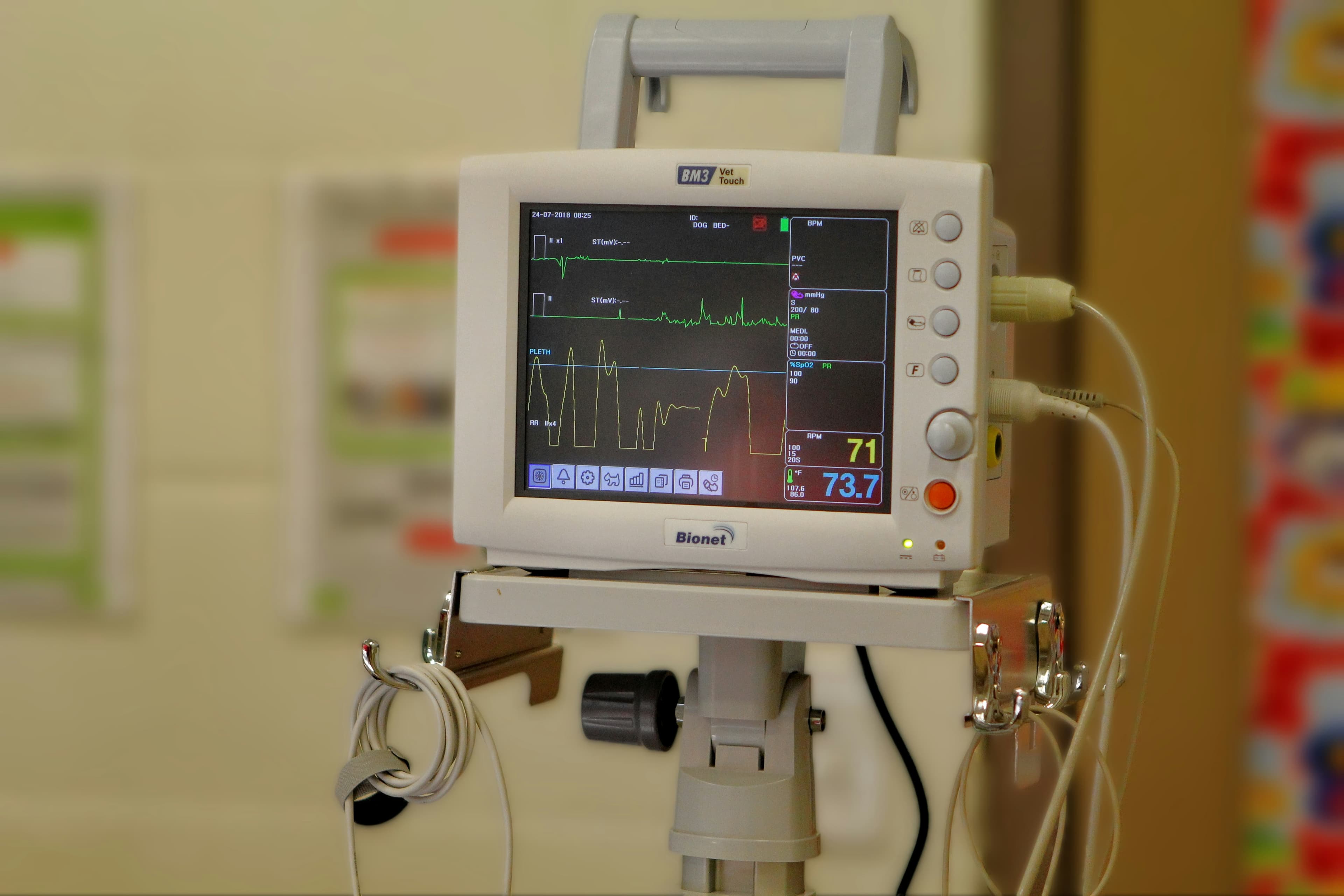 Healthcare Professional